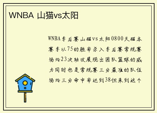 WNBA 山猫vs太阳